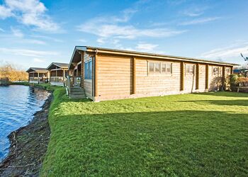 Typical Water Reed Watersedge