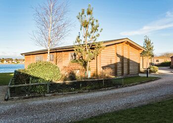 Typical Water Reed Watersedge