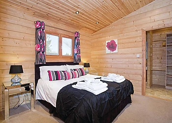 Typical Water Reed Watersedge