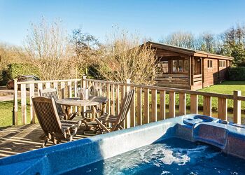 Typical Lilypad Watersedge