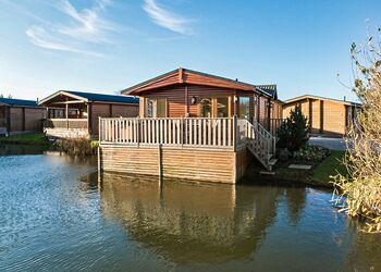 Typical Lilypad Watersedge