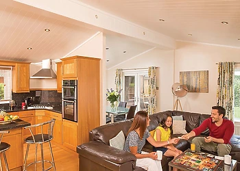 Typical Lilypad Watersedge