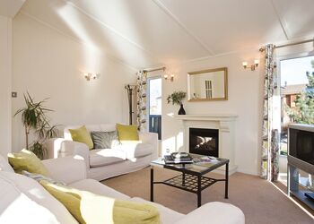 Typical Lilypad Watersedge