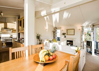 Typical Lilypad Watersedge