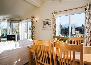 Typical Lilypad Watersedge