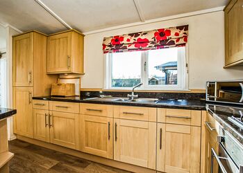 Typical Lilypad Watersedge