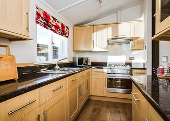 Typical Lilypad Watersedge