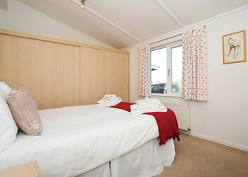 Typical Lilypad Watersedge