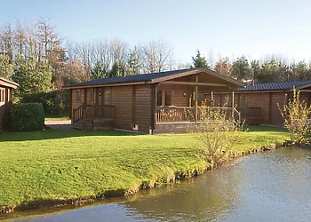 Typical Dragonfly Watersedge