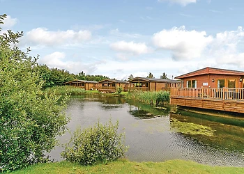 Dragonfly Watersedge 