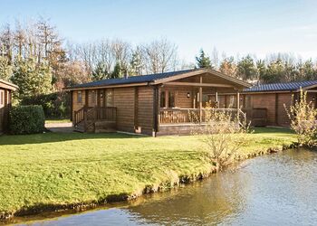 Typical Dragonfly Watersedge