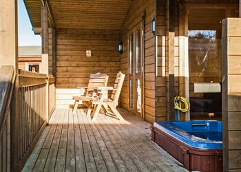 Typical Dragonfly Watersedge