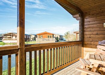 Typical Dragonfly Watersedge