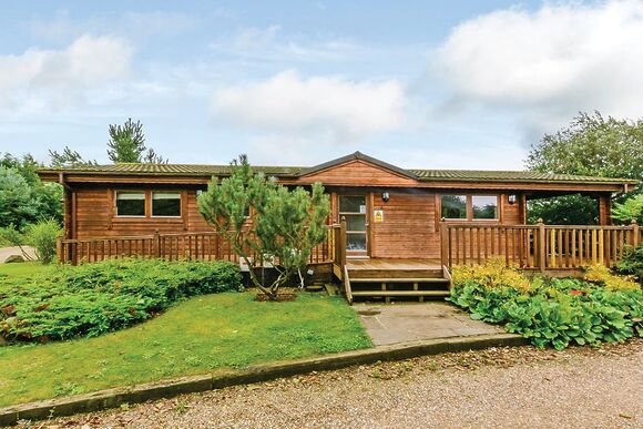 Typical Bulrush Watersedge (Pet) 