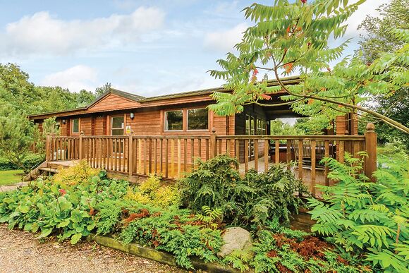 Typical Bulrush Watersedge (Pet) 