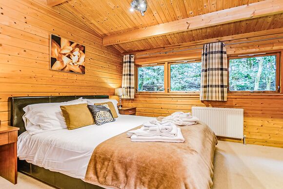 Typical Bulrush Lakeview (Pet) 