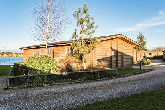 Typical Water Reed Watersedge