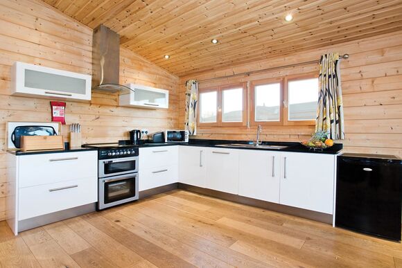 Typical Water Reed Watersedge