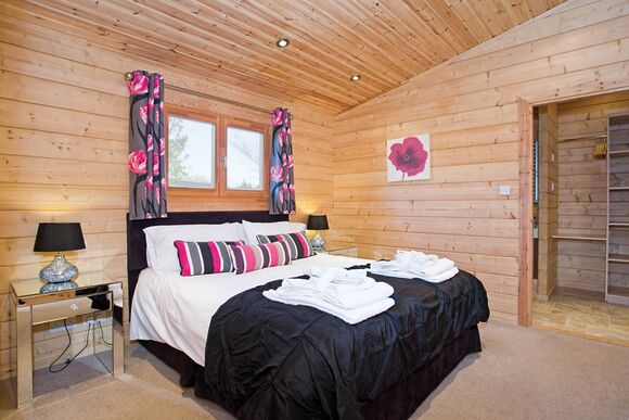 Typical Water Reed Watersedge