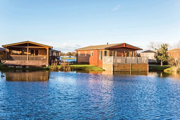 Typical Lilypad Watersedge