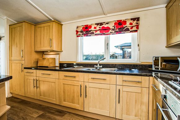 Typical Lilypad Watersedge