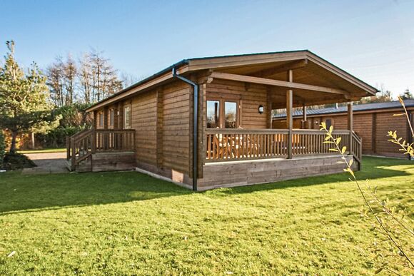 Typical Dragonfly Watersedge