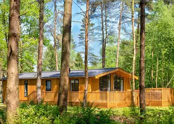 Darwin Forest, Matlock