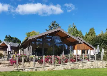 Darwin Forest, Matlock