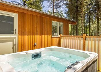 Spinney 1 Spa (Pet) - Darwin Forest, Matlock