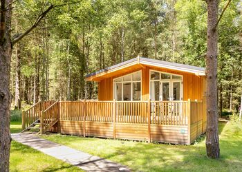 Spinney 1 Spa (Pet) - Darwin Forest, Matlock