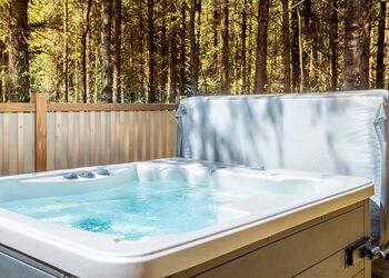 Spinney 1 Spa (Pet) - Darwin Forest, Matlock