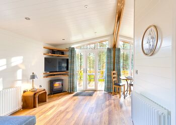 Spinney 1 Spa (Pet) - Darwin Forest, Matlock