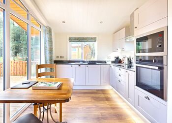 Spinney 1 Spa (Pet) - Darwin Forest, Matlock