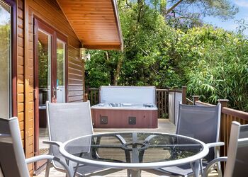 Haddon Classic Vogue (S) 2 Spa (Pet) - Darwin Forest, Matlock