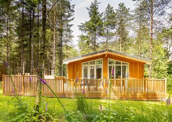 Spinney 2 Spa (Pet) - Darwin Forest, Matlock