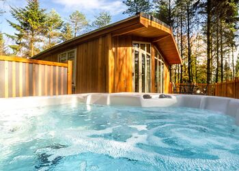 Spinney 2 Spa (Pet) - Darwin Forest, Matlock