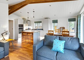 Spinney 2 Spa (Pet) - Darwin Forest, Matlock