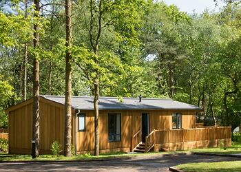 The Coppice 2 Spa (Pet) - Darwin Forest, Matlock