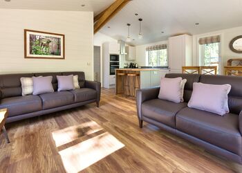 The Coppice 3 Spa (Pet) - Darwin Forest, Matlock