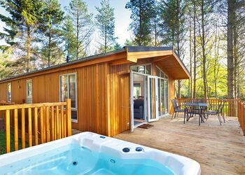 Spinney 3 Spa (Pet) - Darwin Forest, Matlock