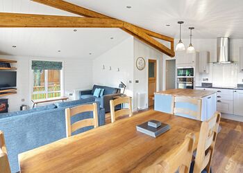 Spinney 3 Spa (Pet) - Darwin Forest, Matlock