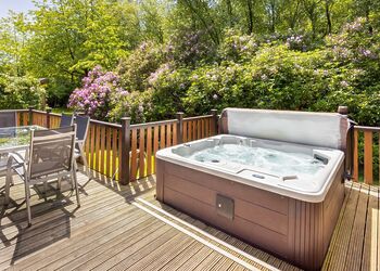 Haddon Classic Vogue 4 Spa (Pet) - Darwin Forest, Matlock