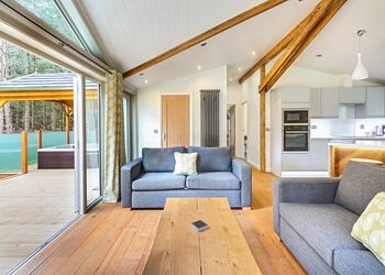 Spinney Exclusive 3 Spa - Darwin Forest, Matlock