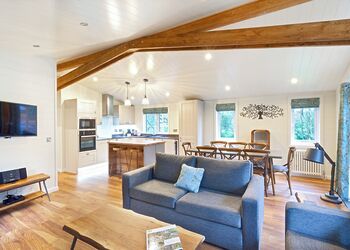 Spinney 4 Spa (Pet) - Darwin Forest, Matlock