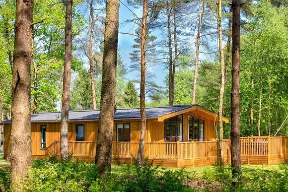 Darwin Forest, Matlock