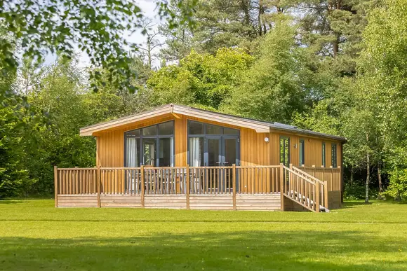 Darwin Forest, Matlock