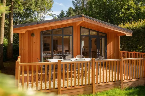 Darwin Forest, Matlock