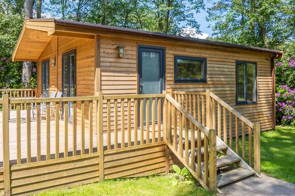 Chatsworth Elite Vogue 1 (Pet) - Darwin Forest, Matlock