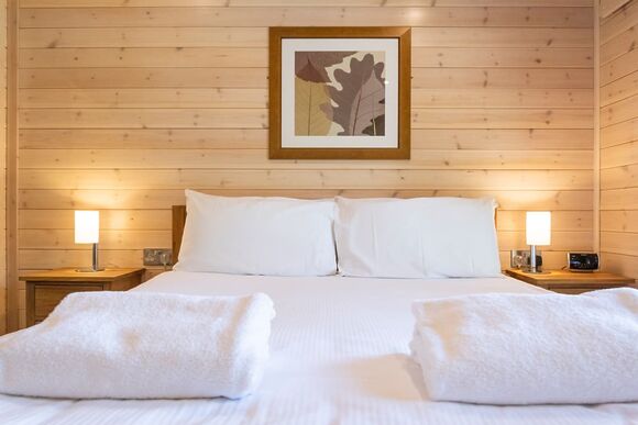 Chatsworth Elite Vogue 1 (Pet) - Darwin Forest, Matlock