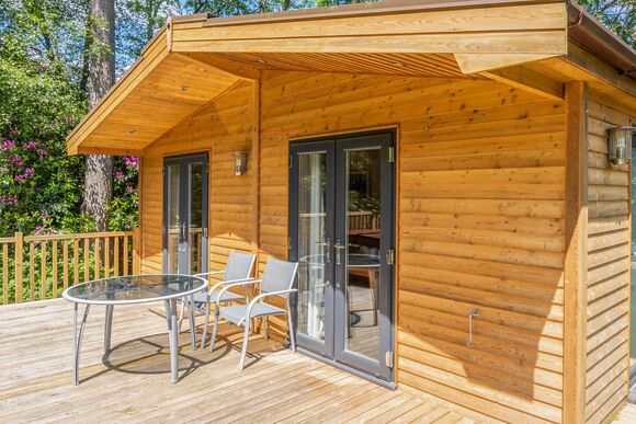 Chatsworth Elite Vogue (S) 1 (Pet) - Darwin Forest, Matlock